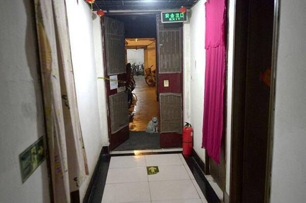 Miris! Ternyata Ada Hunian Tersembunyi di Bawah Apartemen Mewah Beijing