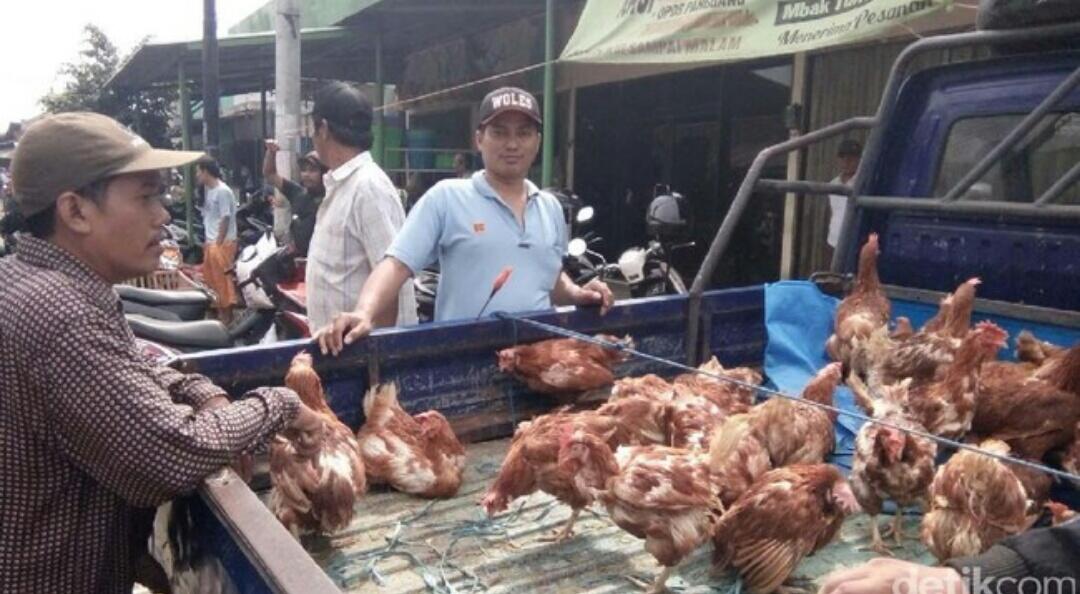 Permintaan Naik, Ayam Afkiran Banyak Dijual di Pasar di Jepara.