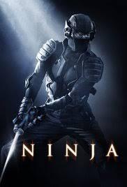 Ninja Terakhir di Dunia
