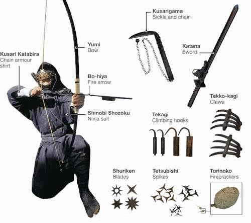 Ninja Terakhir di Dunia