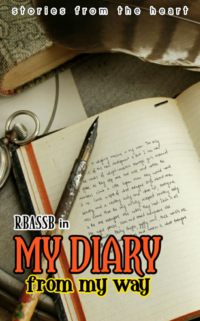 My Diary From My Way()
