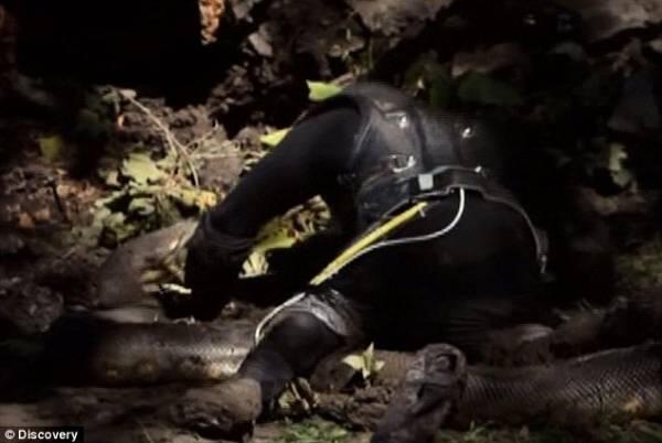 Eaten Alive : Nyobain Rasanya "Ditelen Bulet-bulet" Sama Anaconda