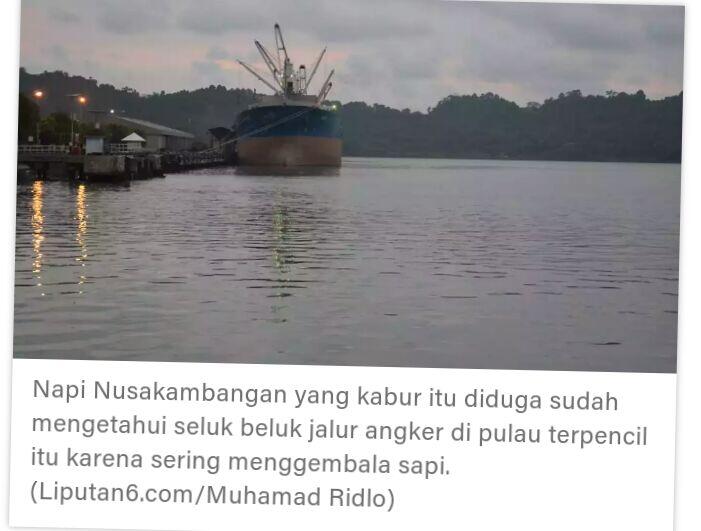 Menyusuri Angkernya Jalur Kabur Napi Nusakambangan