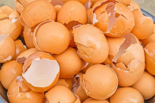 Wow!Inilah 10 Manfaat Kulit Telur Yang Belum Anda Ketahui