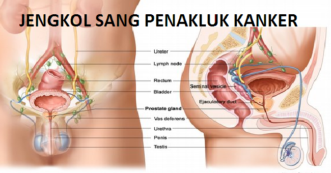 Hati-hati! Informasi Kesehatan Ini Ternyata Hoax! 