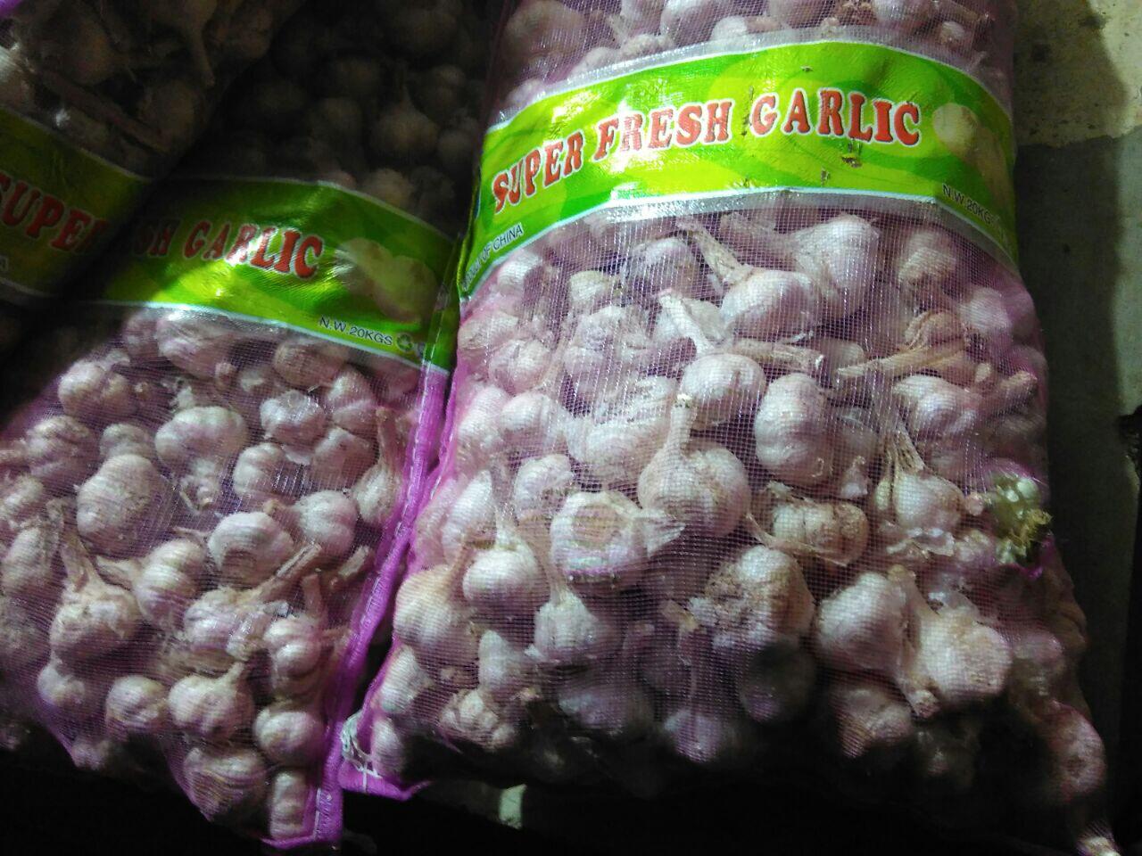 Supply Fresh Garlic / Bawang Putih