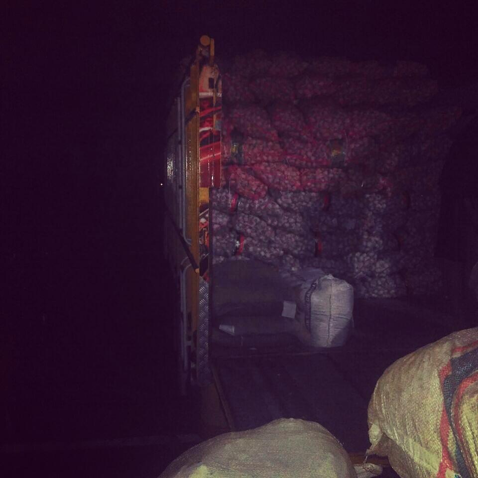 Supply Fresh Garlic / Bawang Putih