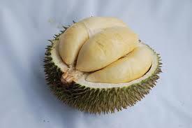 7 DURIAN LOKAL YANG GA KALAH SAING SAMA IMPOR PUNYA, WAJIB ENTE COBA!!!!