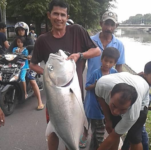 Pemancing Ini Dapet Ikan GT di Sungai, Kok Bisa?