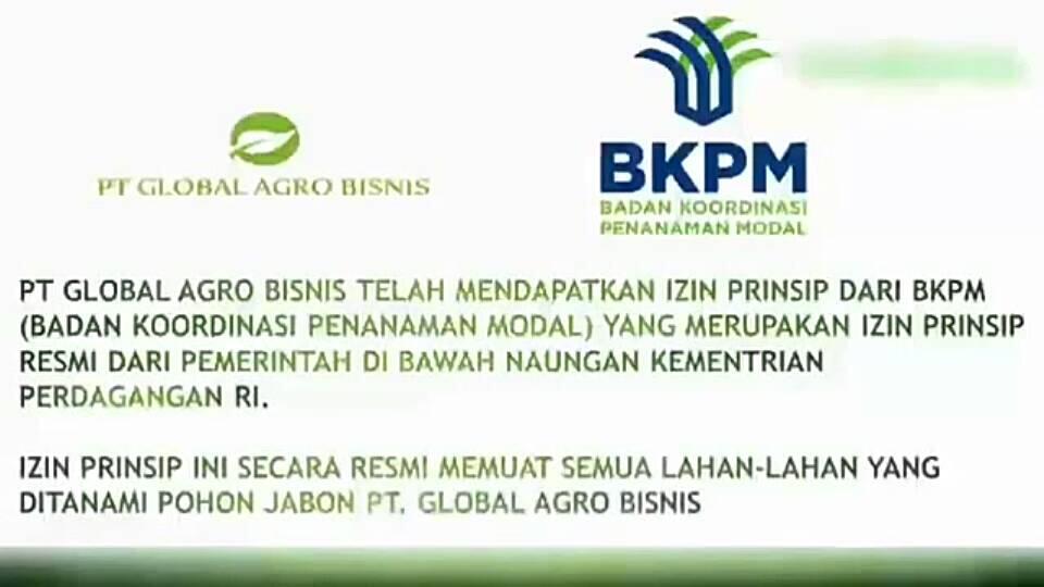 INVESTASI PENGUSAHA KAYU HUTAN LESTARI..AMAN LEGAL DAN ANTI RIBA