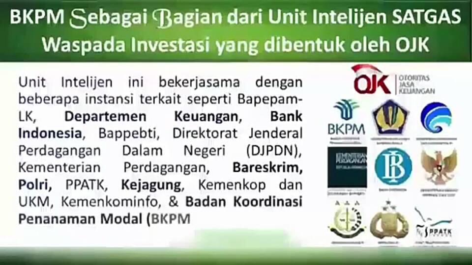 INVESTASI PENGUSAHA KAYU HUTAN LESTARI..AMAN LEGAL DAN ANTI RIBA
