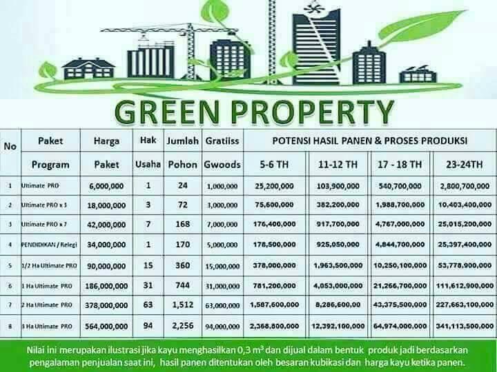 INVESTASI PENGUSAHA KAYU HUTAN LESTARI..AMAN LEGAL DAN ANTI RIBA