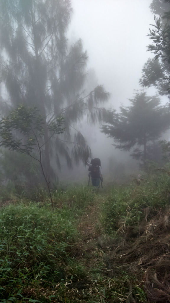 Kumpulan Cerita Misteri Gunung Gede Pangrango dari Para 