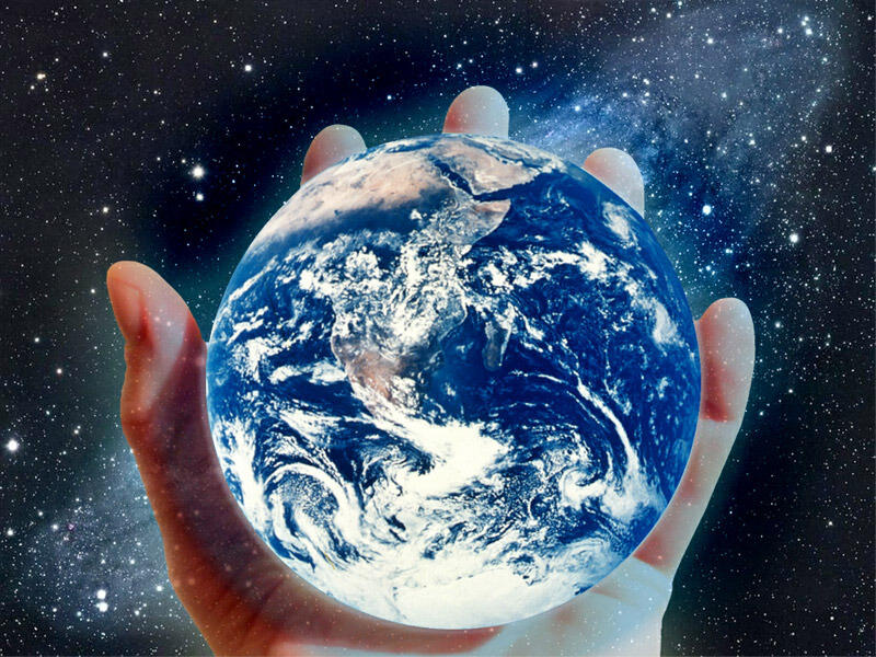Adu Domba Global
