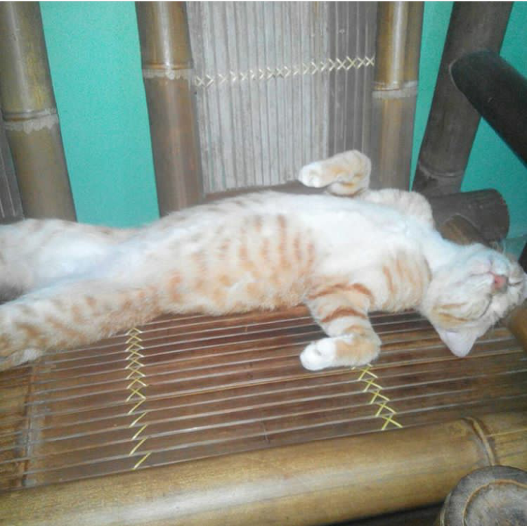 5 alasan lo bisa ucapin "I hate monday"