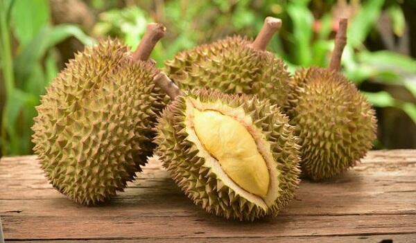 Durian Ini Nggak Ada Durinya, Jadi Namanya Apa Dong?