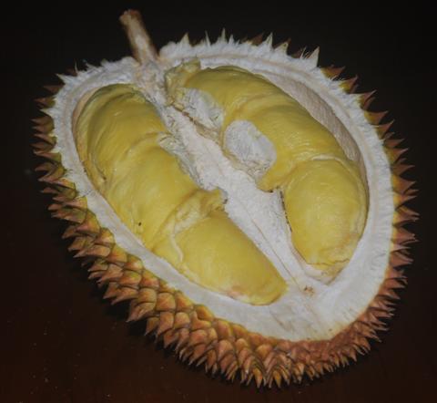 Durian Ini Nggak Ada Durinya, Jadi Namanya Apa Dong?