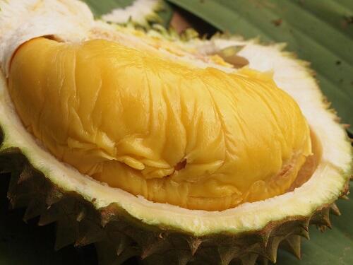 Durian Ini Nggak Ada Durinya, Jadi Namanya Apa Dong?