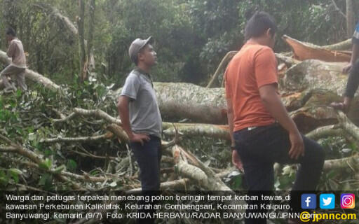 Bunuh Diri di Pohon Beringin, Jasad Sulit Diturunkan, Akhirnya...