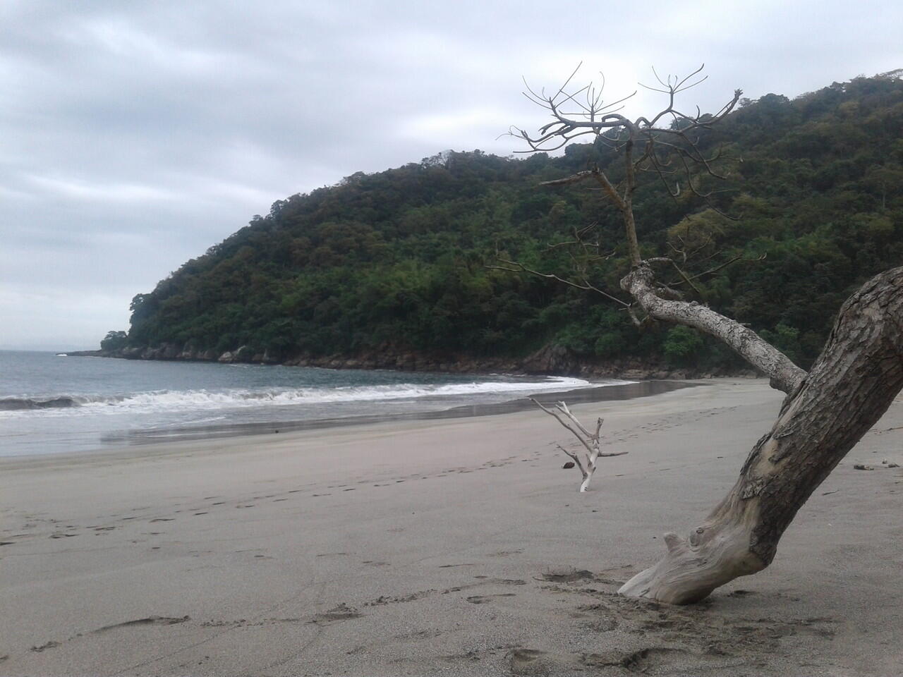 PANTAI NANGGELAN || PANTAI TERSEMBUNYI DI KAB. JEMBER JAWA TIWUR