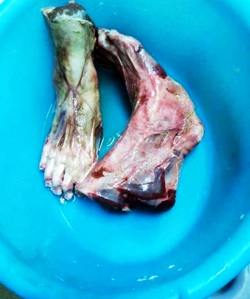 Heboh Kabar Restoran China Hidangkan Kaki Manusia