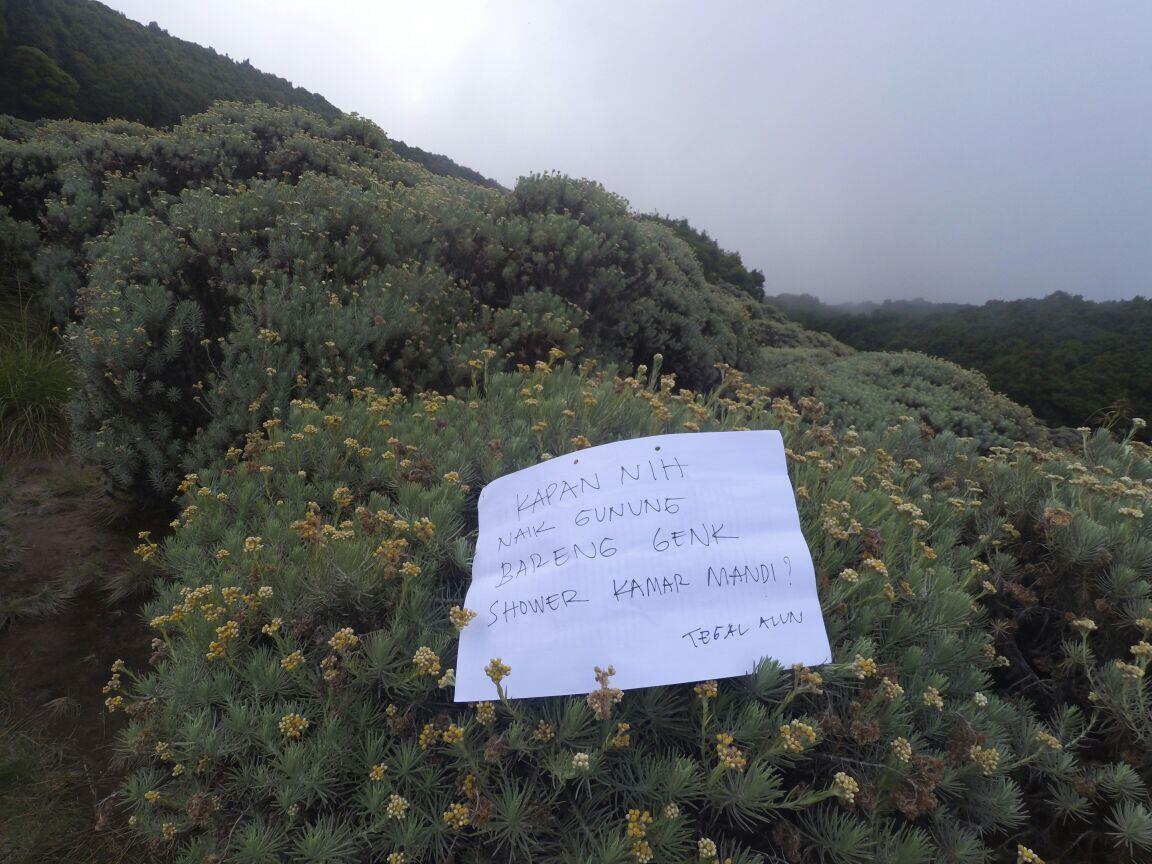 &#91;CATPER&#93; Pendakian Gunung Papandayan 8-9 Juli 2017. &#91;Awal perjalanan&#93;