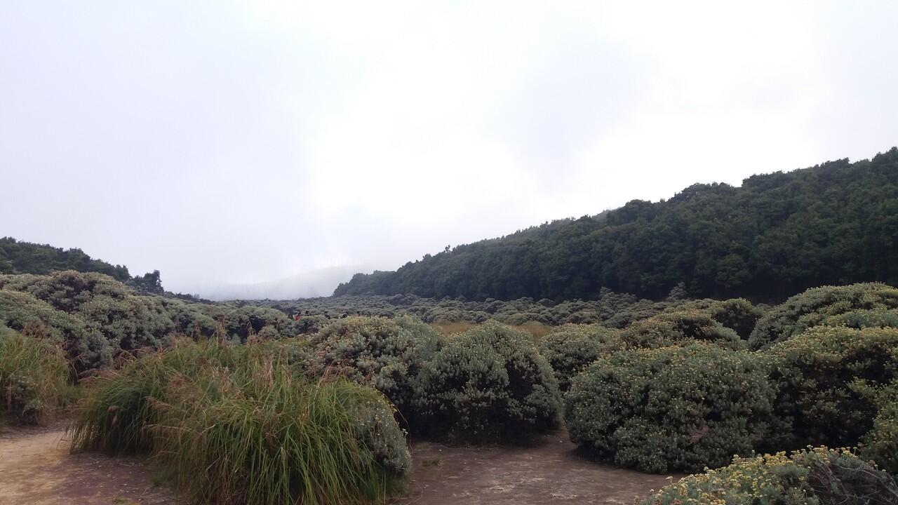 &#91;CATPER&#93; Pendakian Gunung Papandayan 8-9 Juli 2017. &#91;Awal perjalanan&#93;