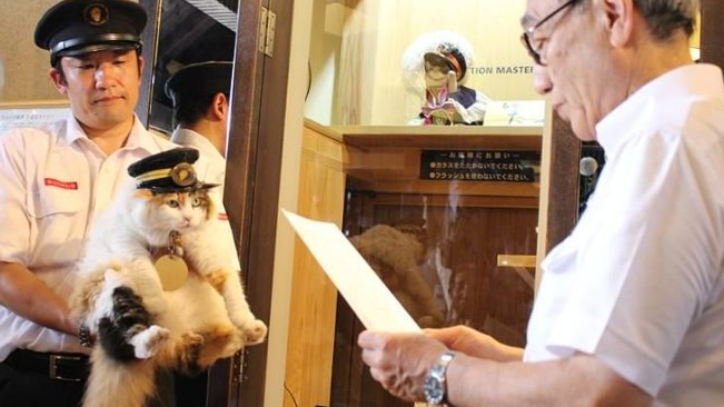 &#91;RIP&#93; Mengenang si Kucing Tama &quot;Sang Kepala Stasiun&quot;