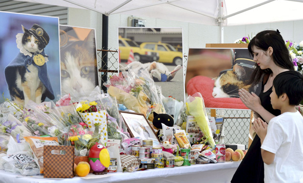 &#91;RIP&#93; Mengenang si Kucing Tama &quot;Sang Kepala Stasiun&quot;