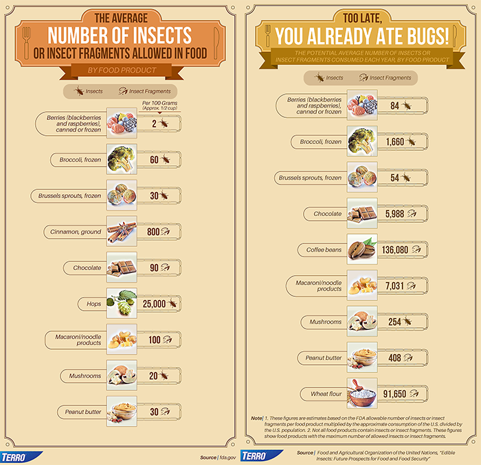 Berapa Banyak Serangga yang Telah Anda Makan?!