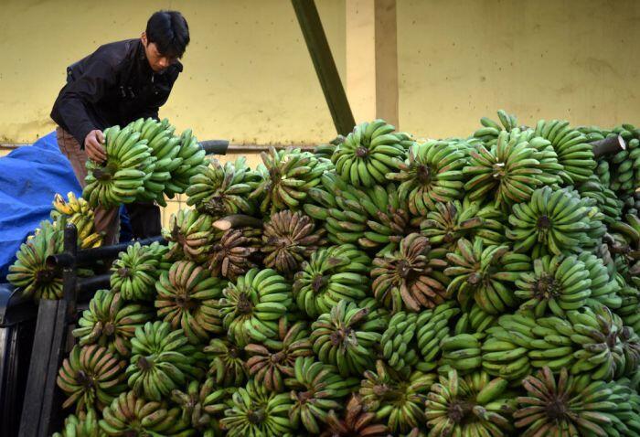 Indonesia, negara pembuang makanan terbanyak kedua