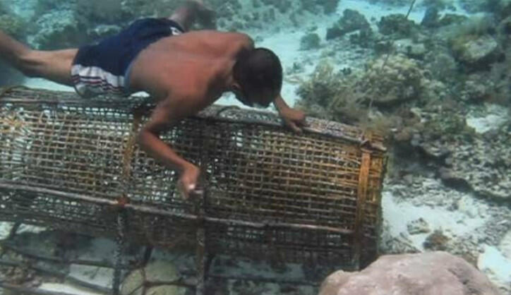 Lupakan Cantrang Inilah Jenis Alat  Tangkap Ikan 