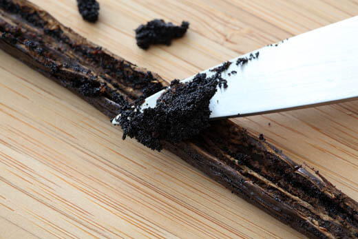 Di mana bisa beli "Vanilla Bean"