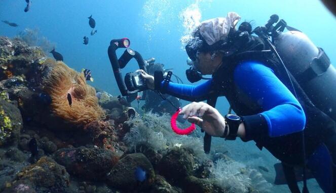5 Kamera Ini Harus Dibawa Bagi Yang Hobi Diving