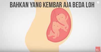 Kenapa Sidik Jari Berbeda-beda? *Explained With Animation*