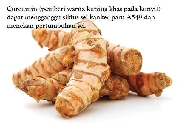 Ayo Lawan Kanker...