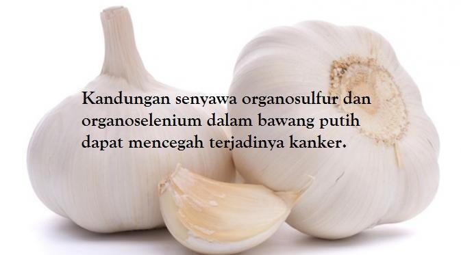 Ayo Lawan Kanker...