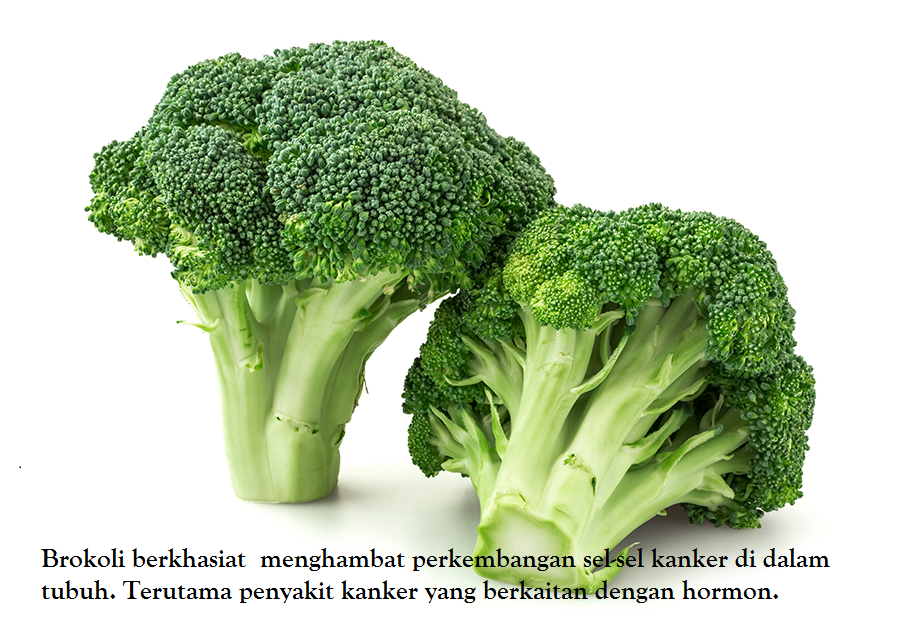 Ayo Lawan Kanker...