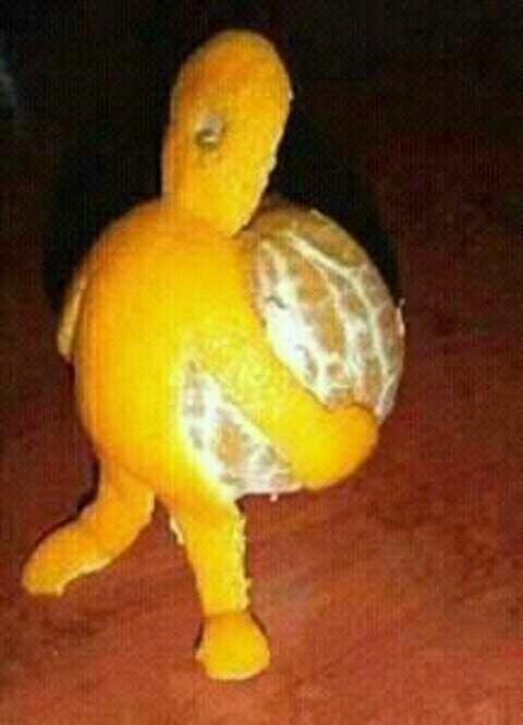 Hati Hati Gan! Ada Jeruk Nyuri Jeruk