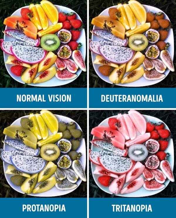 Penglihatan Penderita Buta Warna