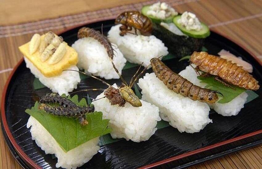 5 Sushi dengan Bahan Teraneh! Agan Berani Coba?