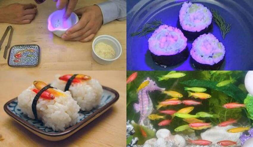 5 Sushi dengan Bahan Teraneh! Agan Berani Coba?