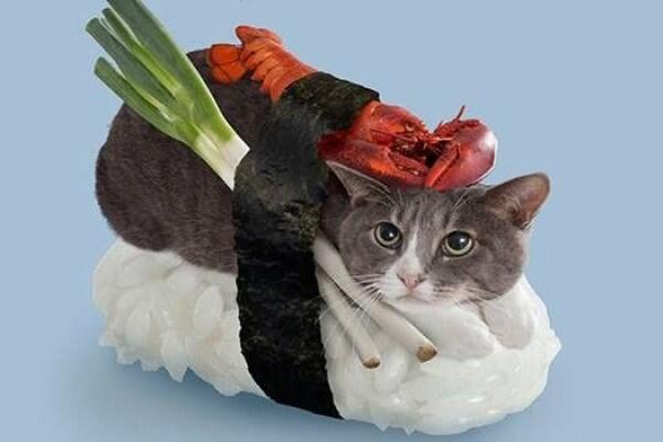 5 Sushi dengan Bahan Teraneh! Agan Berani Coba?