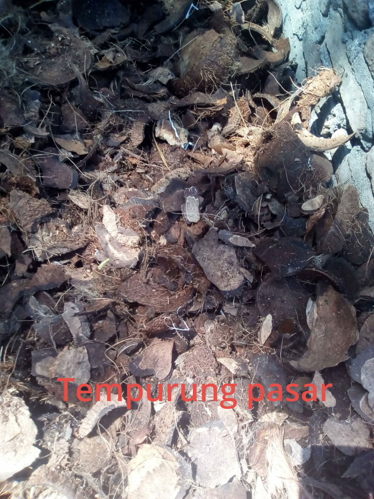 Cari Pemodal Buat Usaha Arang Batok/Tempurung Kelapa.