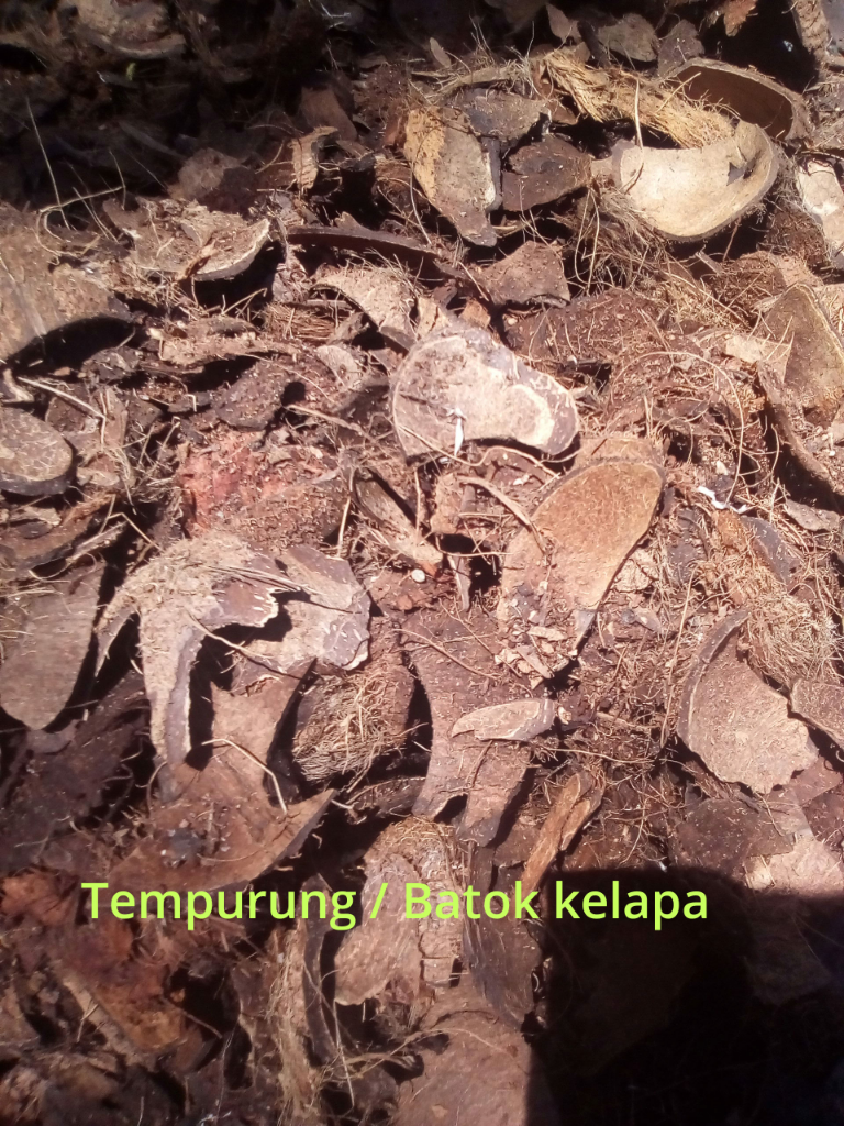 Cari Pemodal Buat Usaha Arang Batok/Tempurung Kelapa.