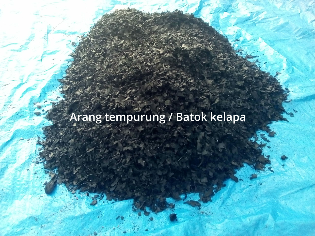 Cari Pemodal Buat Usaha Arang Batok/Tempurung Kelapa.