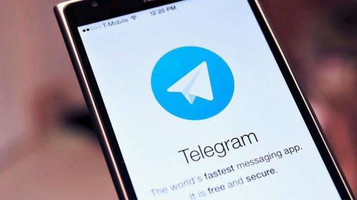 Presiden Jokowi: Pemerintah Sudah Lama Amati Aplikasi Telegram