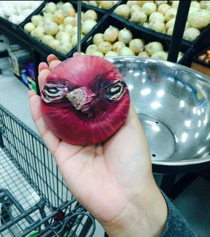 Ayo Tebak, Buah Dan Sayur Ini Mirip Hewan Apa Ya?