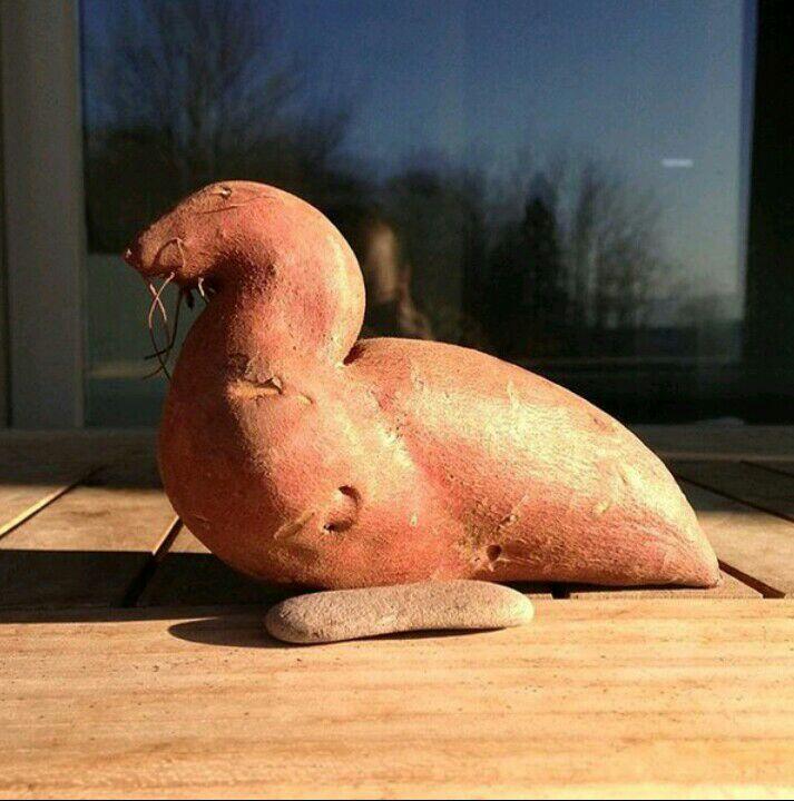 Ayo Tebak, Buah Dan Sayur Ini Mirip Hewan Apa Ya?