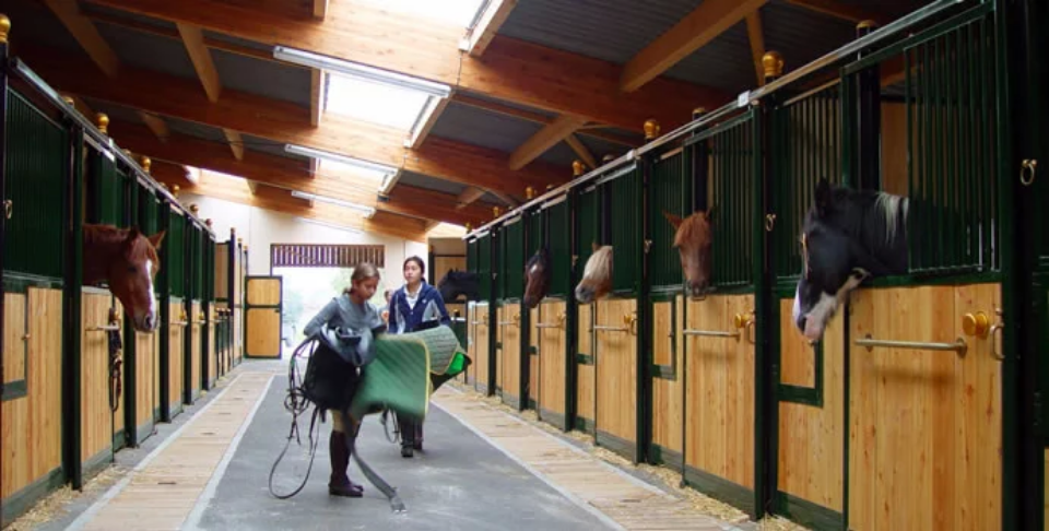 Mengintip Sekolah Paling Mahal di Dunia, Seperti Apa?